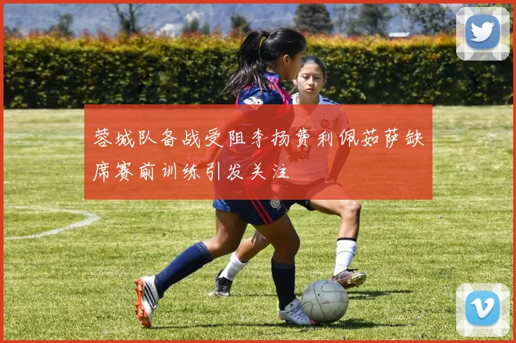 蓉城队备战受阻李扬费利佩茹萨缺席赛前训练引发关注